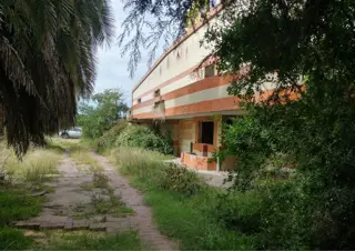 CAMPO en Venta en Punta Indio - sobre Ruta foto 3