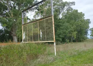 CAMPO en Venta en Punta Indio - sobre Ruta foto 5