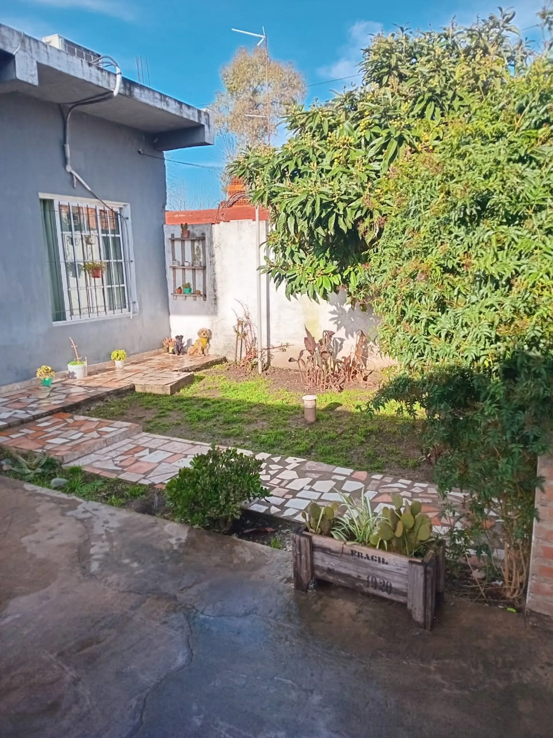 ALQUILER DE CASA EN JOSÉ C PAZ DE 3 AMBIENTES foto 2