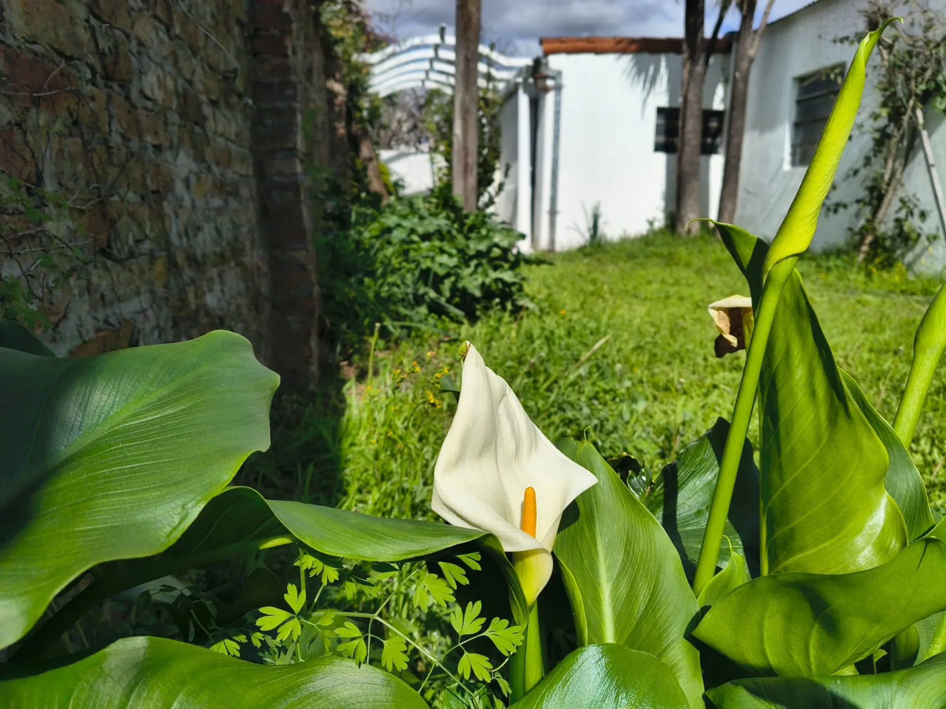 Casa en alquiler, 3 ambientes. foto 5