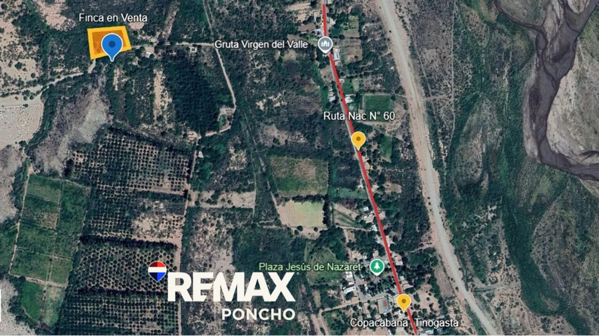 SE VENDE FINCA CON BODEGA, CAVA Y PARRAL 7083 M2