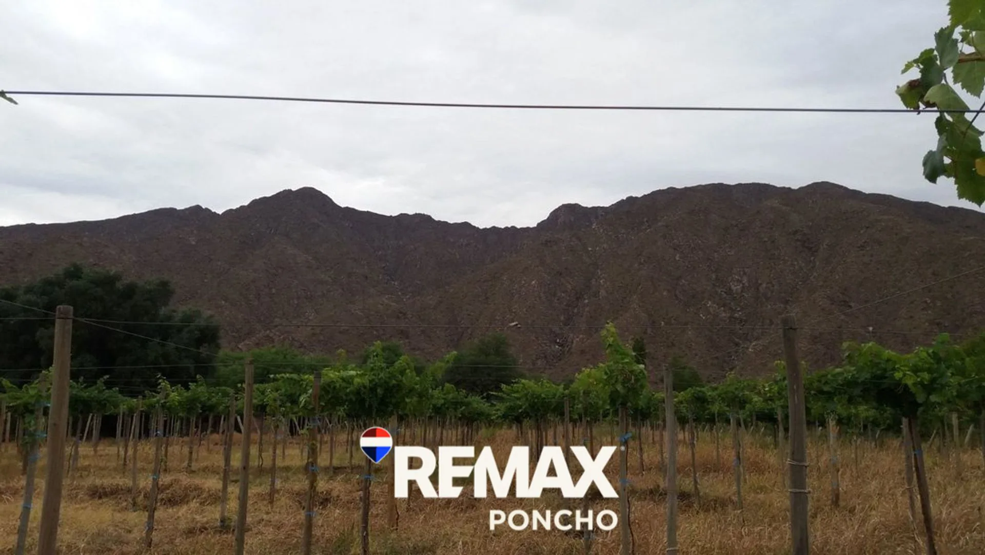 SE VENDE FINCA CON BODEGA, CAVA Y PARRAL 7083 M2 foto 2