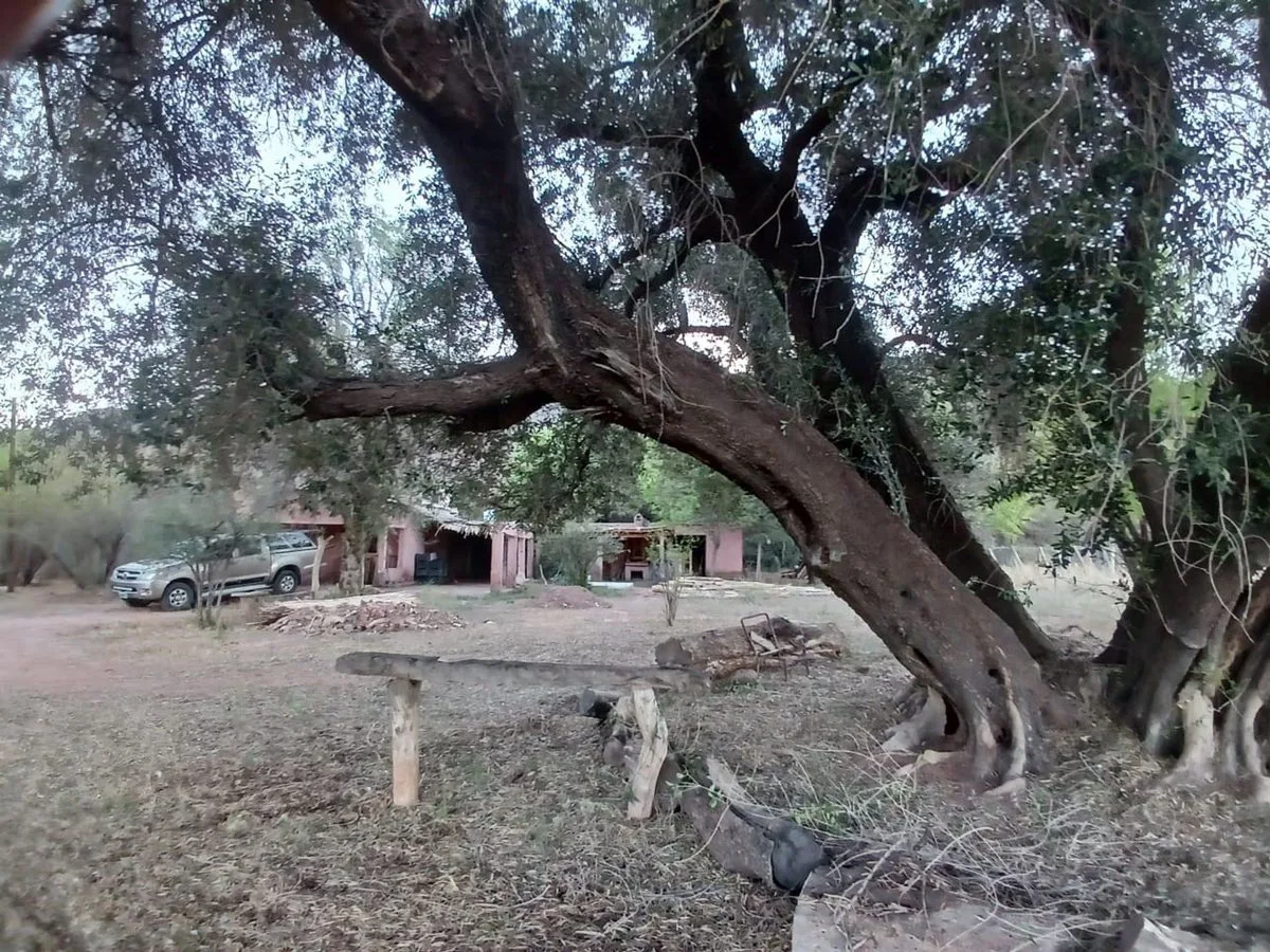 SE VENDE FINCA CON BODEGA, CAVA Y PARRAL 7083 M2 foto 4