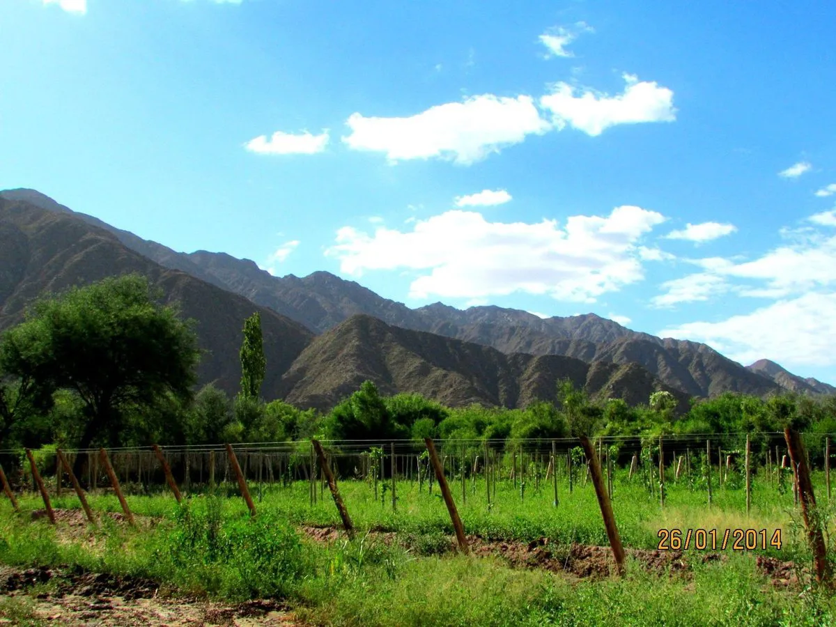 SE VENDE FINCA CON BODEGA, CAVA Y PARRAL 7083 M2 foto 5