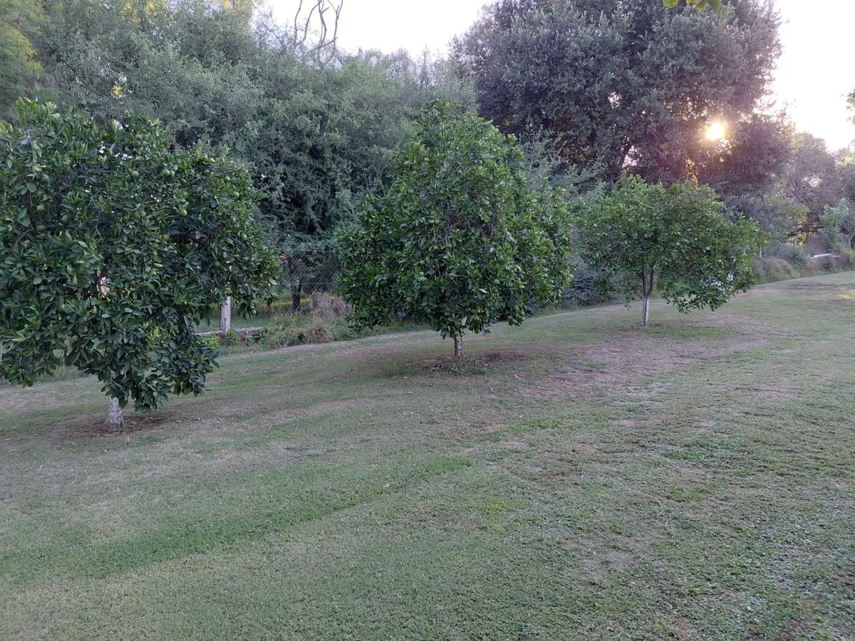 CASA QUINTA EN BARRIO GRAL SAVIO foto 3