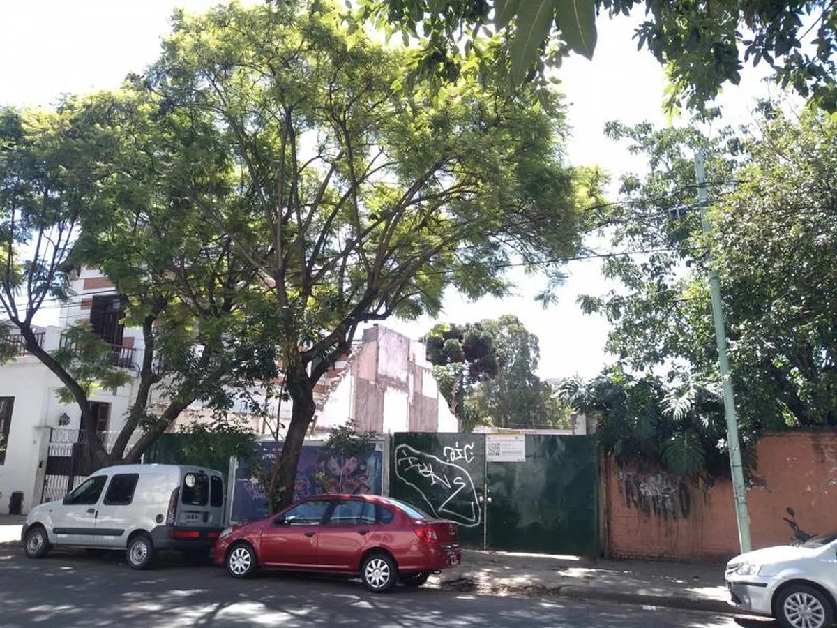 Yerbal 1601 foto 4