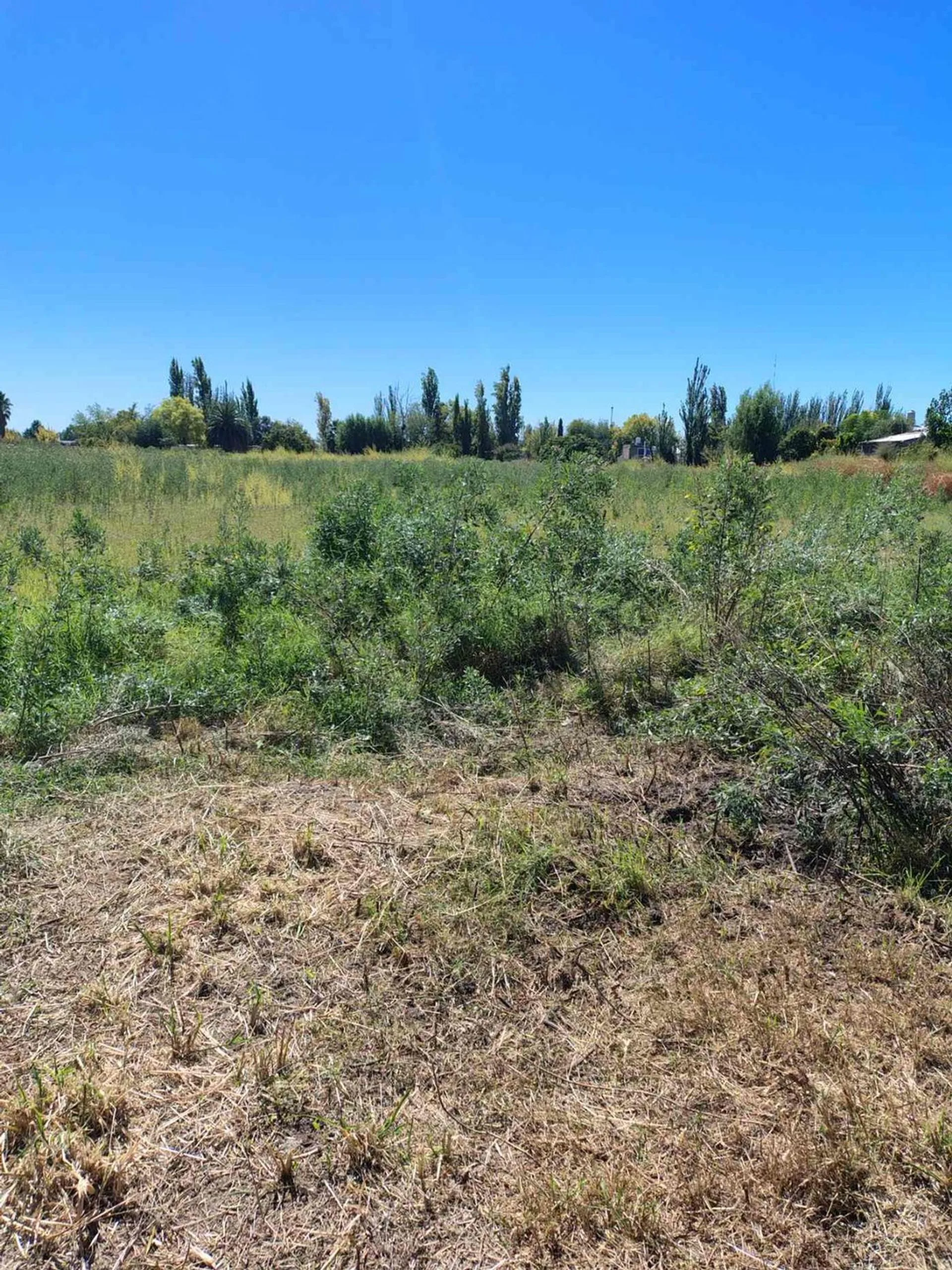 Terreno en venta foto 2