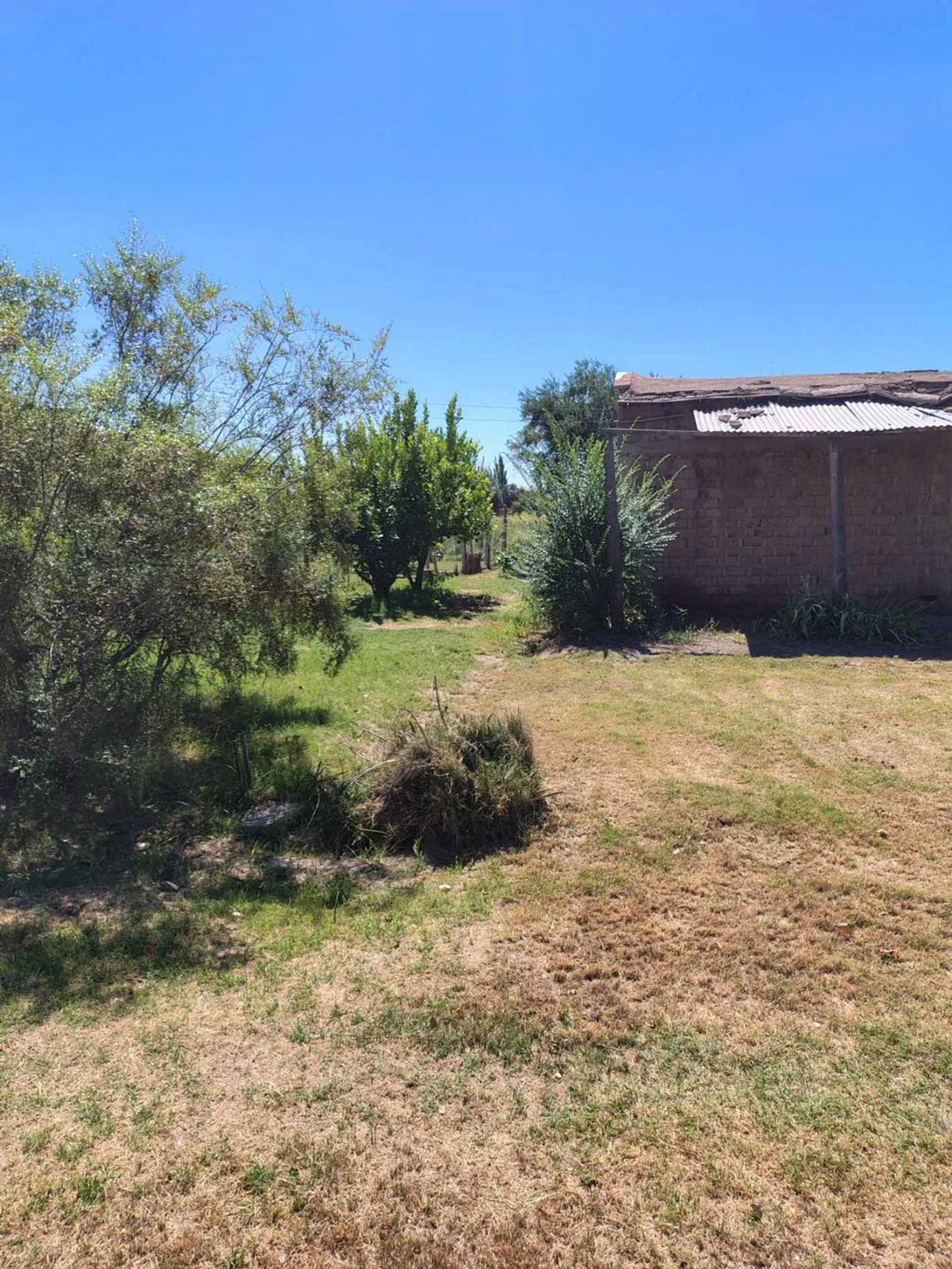 Terreno en venta foto 4