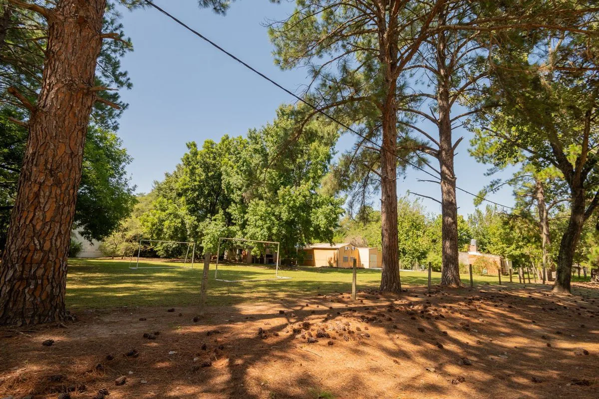 Venta Quinta 2 dorm, pileta en 2142 mt2 forestados foto 3